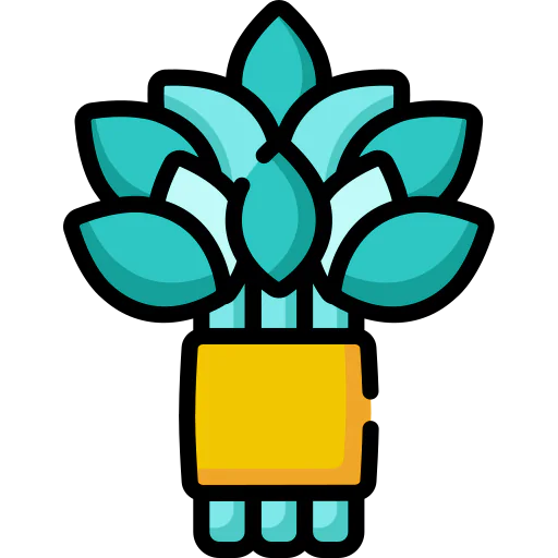 Banyan 图标