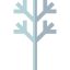 Tree branch 图标 64x64