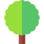 Lemon tree icon 64x64