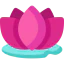 Lotus icon 64x64