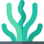 Seaweed icon 64x64
