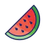 Watermelon icon 64x64