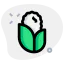 Maize іконка 64x64