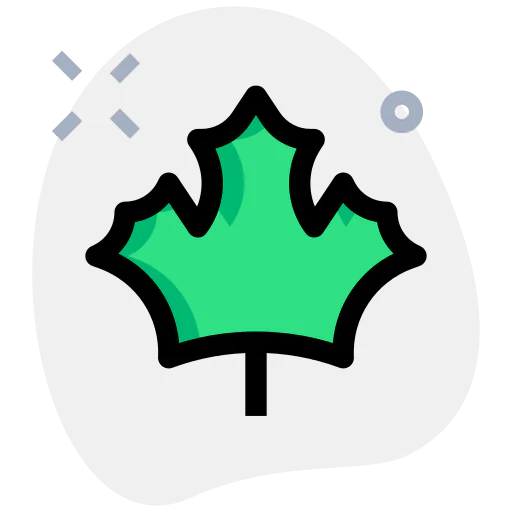 Maple leaf icon