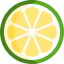 Lime icon 64x64