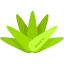 Agave icon 64x64