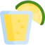 Tequila biểu tượng 64x64