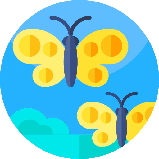 Butterfly biểu tượng