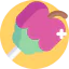 Caramelized apple icon 64x64