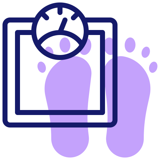 Scale icon