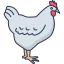 Chicken icône 64x64