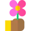 Flower icon 64x64