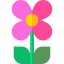 Flower icon 64x64