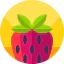 Strawberry ícono 64x64