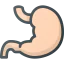 Stomach icon 64x64