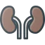 Kidneys icon 64x64