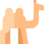 Dromedary іконка 64x64