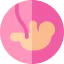 Fetus icon 64x64