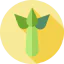 Celery icône 64x64