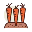 Carrots biểu tượng 64x64