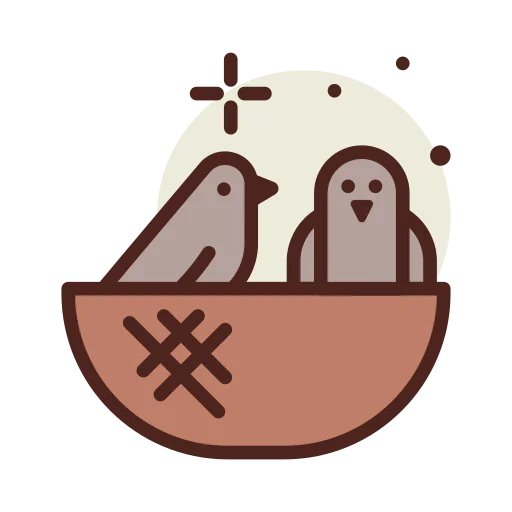 Nest 상