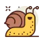 Snail 图标 64x64