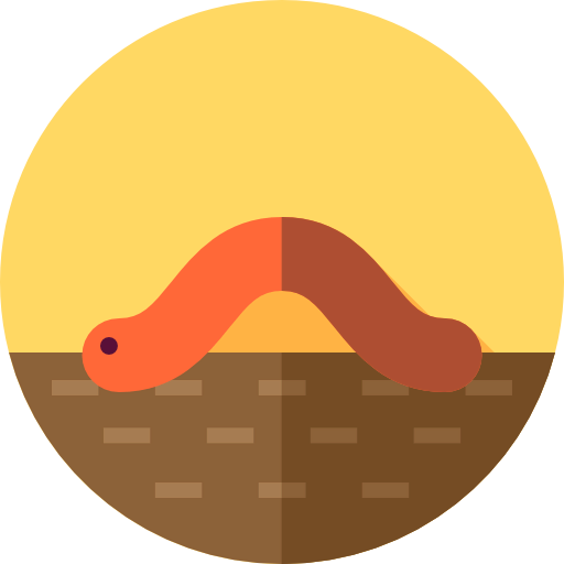 Worm icon