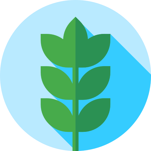 Wheat icon