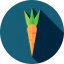 Carrot ícono 64x64