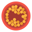 Cholesterol icon 64x64