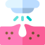 Dermathology icon 64x64