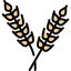 Wheat icon 64x64