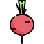 Radish icon 64x64