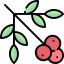 Berries icon 64x64