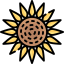 Sunflower icon 64x64