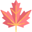 Maple leaf icon 64x64