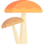 Mushrooms icon 64x64