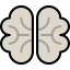 Мозг иконка 64x64