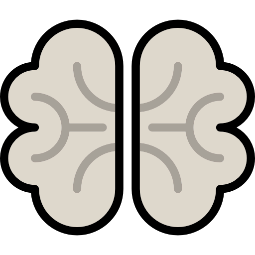 Brain icon