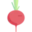 Radish icon 64x64