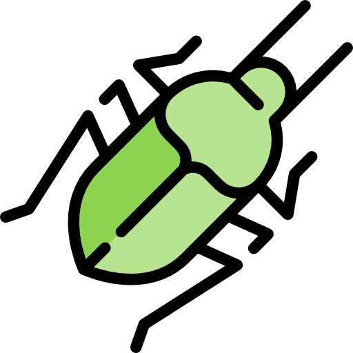 Beetle icon