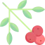 Berries icon 64x64