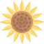 Sunflower icon 64x64