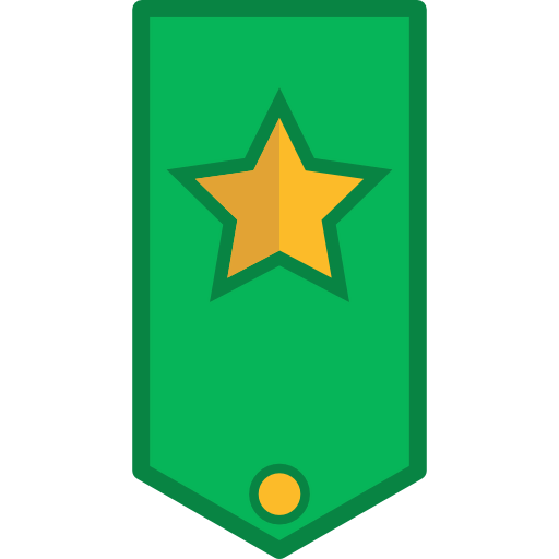 Chevron 图标