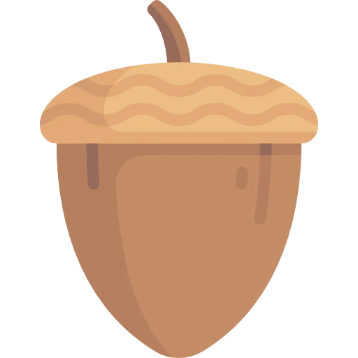 Acorn icon
