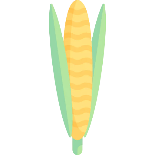 Corn icon