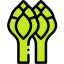 Asparagus icon 64x64