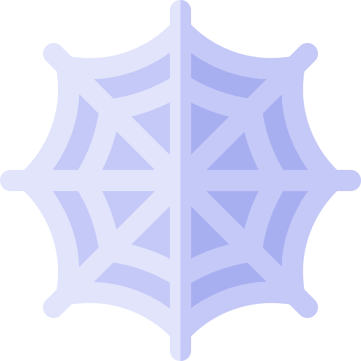 Spider web icon