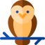 Owl icon 64x64
