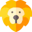 Lion іконка 64x64